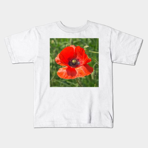 Somme Poppy, Flanders Fields, Belgium Kids T-Shirt by millroadgirl